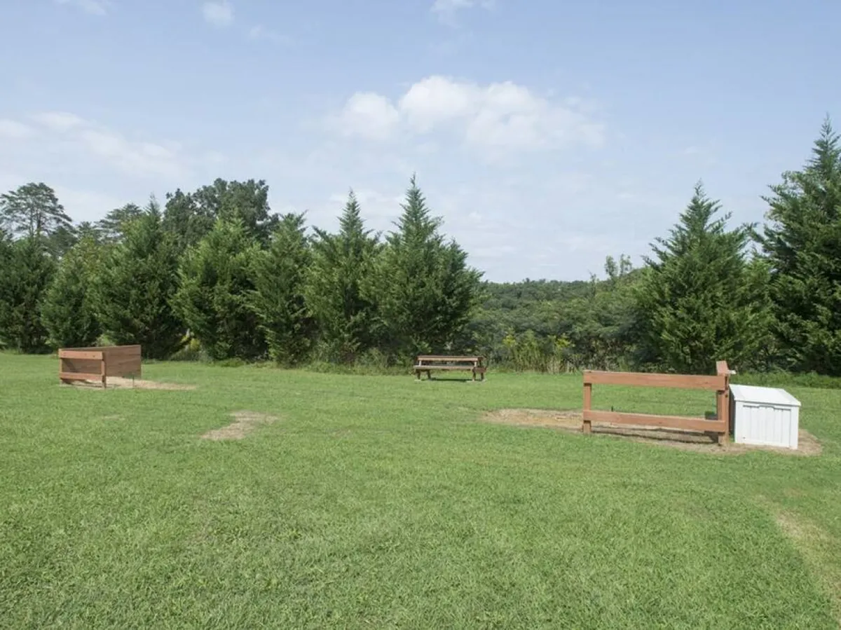A tranquil outdoor area with sturdy wooden benches, lush green grass, and tall evergreen trees. The space feels peaceful and is perfect for picnicking, relaxing, or hosting casual group gatherings, offering a natural backdrop for shared moments.