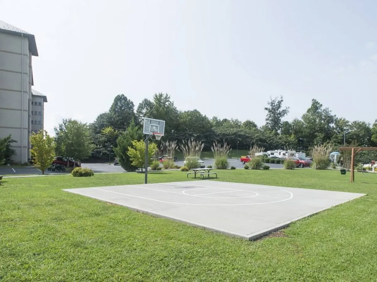 A spacious outdoor basketball court sits amidst green grass, evoking energy and community. The basketball hoop is the focal point, with open space for games, picnicking, and family gatherings, ideal for active recreation.